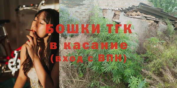 сатива Абинск