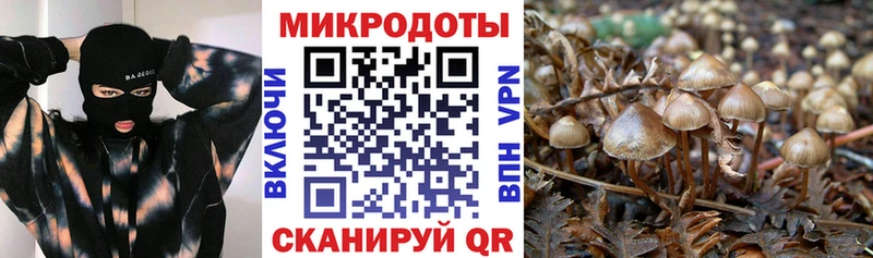 omg ССЫЛКА  Екатеринбург  Псилоцибиновые грибы GOLDEN TEACHER 